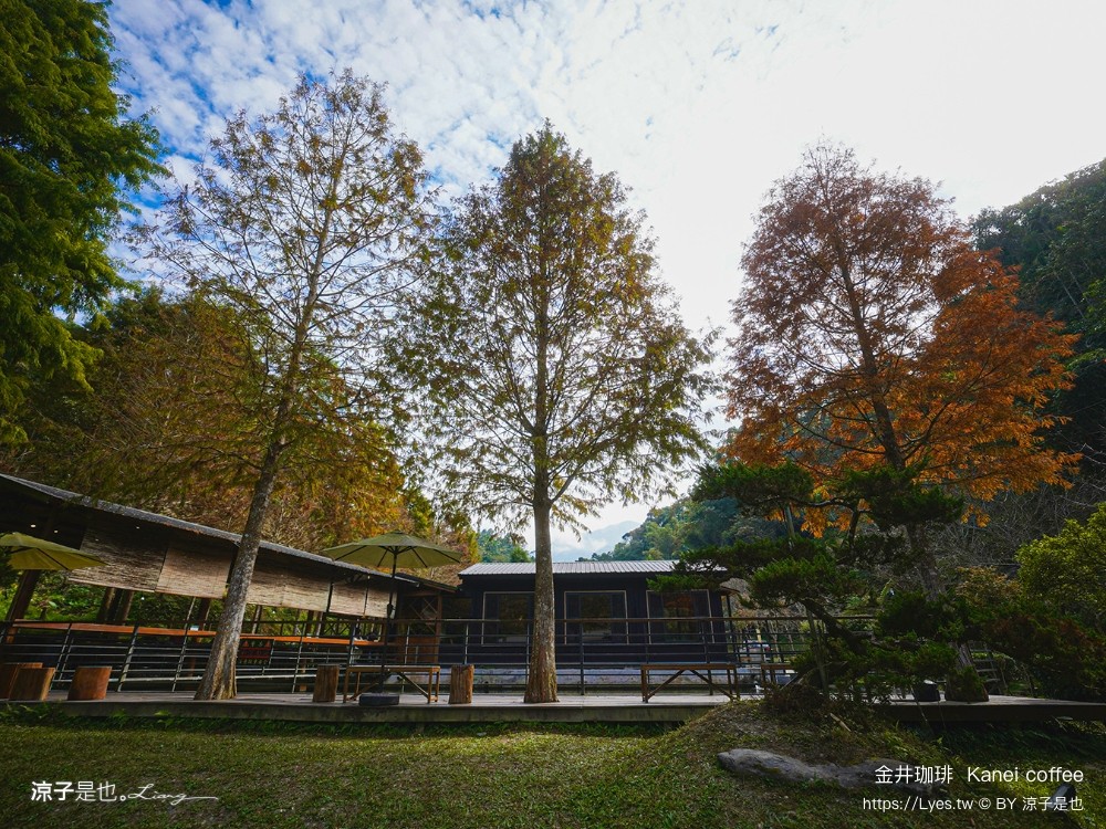 金井珈琲 菜單 南投魚池咖啡廳 埔里餐廳 日月潭美食 日式網美下午茶 披薩 南投甜點 推薦 kanei coffee