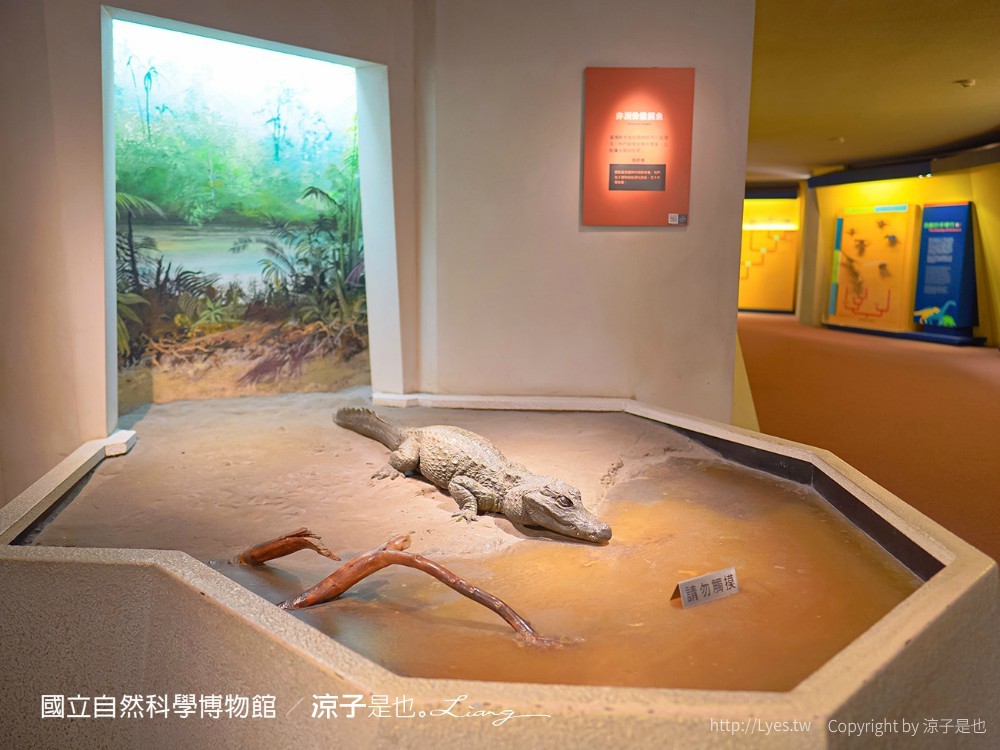 台中科博館 台中室內親子景點 國立自然科學博物館 線上購票 交通 美食 恐龍侏儸紀公園 iCoBo 手機app i科博