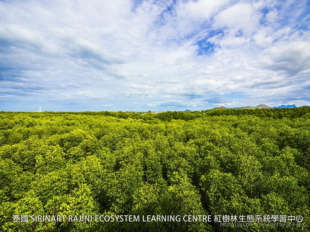 泰國 SIRINART RAJINI ECOSYSTEM LEARNING CENTRE 紅樹林生態系統學習中心