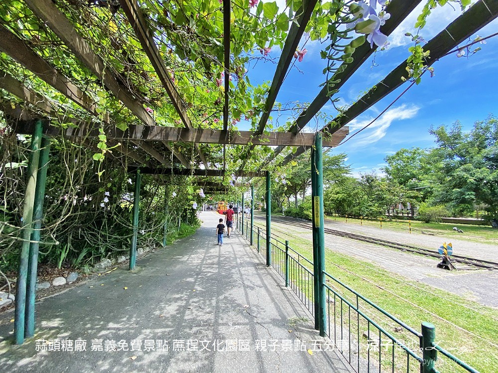 蒜頭糖廠 嘉義免費景點 蔗埕文化園區 親子景點 五分車