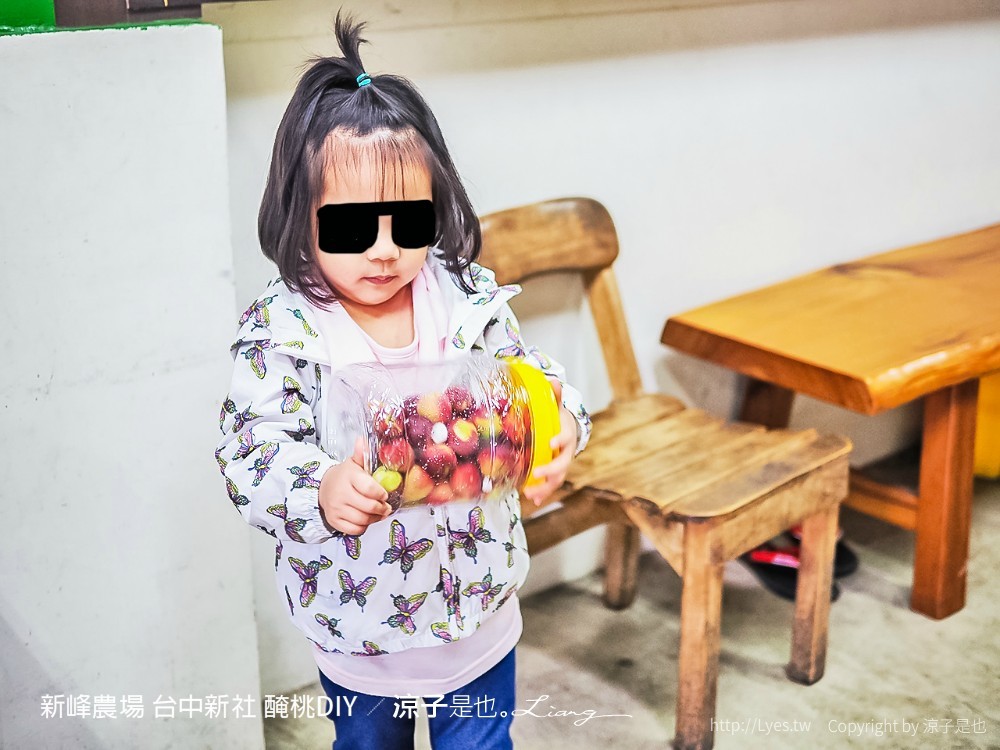 新峰農場 台中新社 醃桃DIY