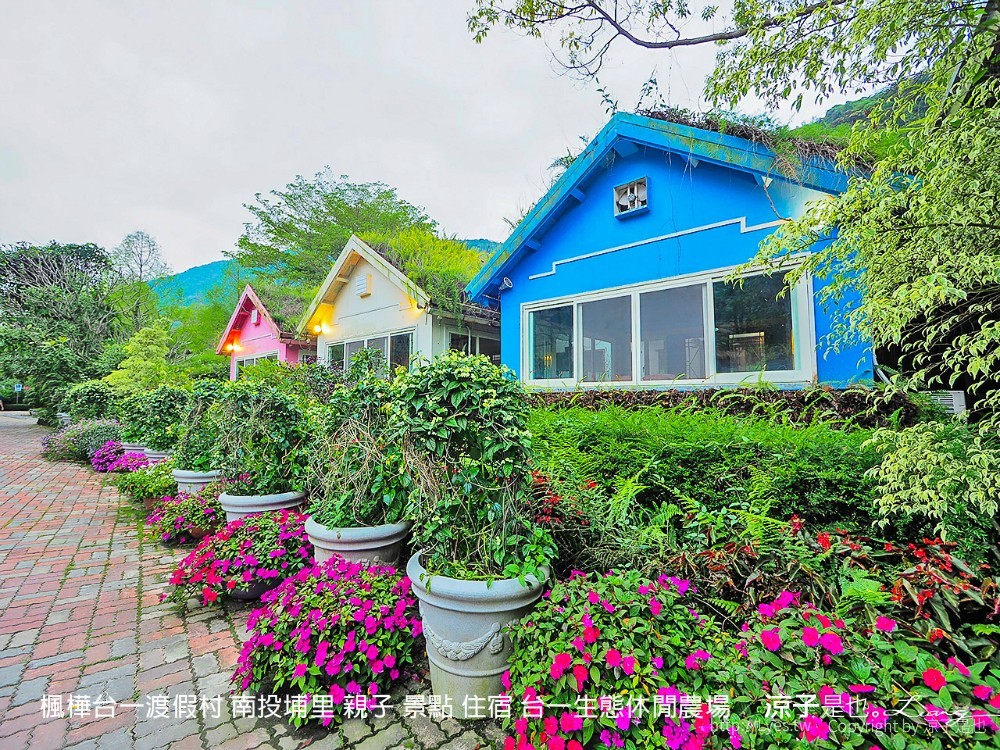 楓樺台一渡假村 南投埔里 親子 景點 住宿 台一生態休閒農場