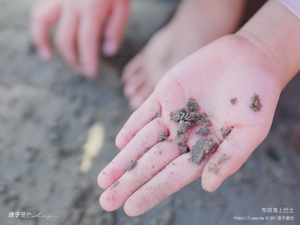 布袋海上巴士 嘉義親子景點 門票價格 蛋糕沙灘 網美拍照打卡 生態導覽