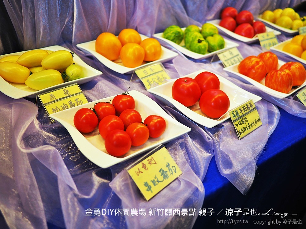 金勇DIY休閒農場 新竹關西景點 親子