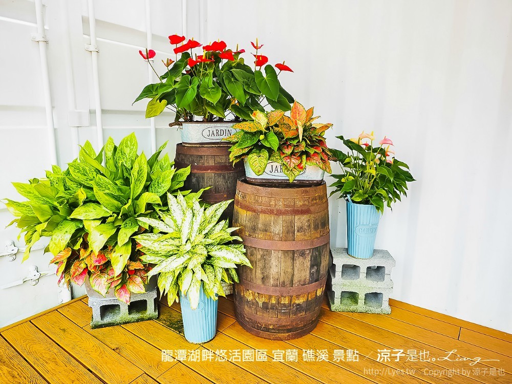 龍潭湖畔悠活園區 宜蘭 礁溪 景點