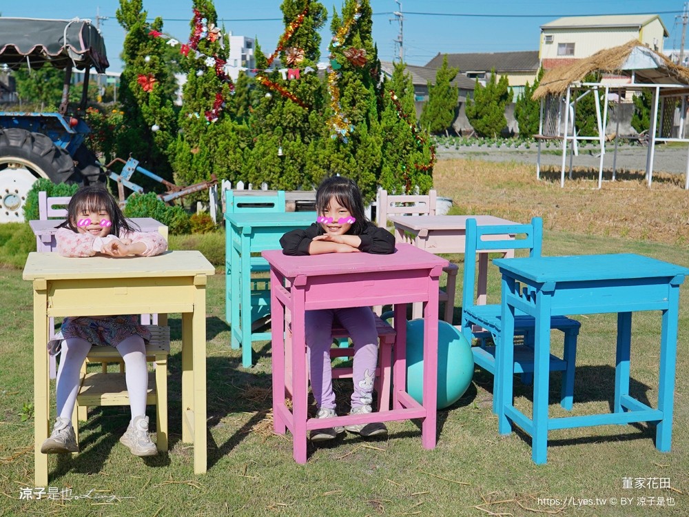 董家花田 菜單 門票 景點 彰化景點 田尾景觀餐廳 花海 戶外野餐 咖啡 交通