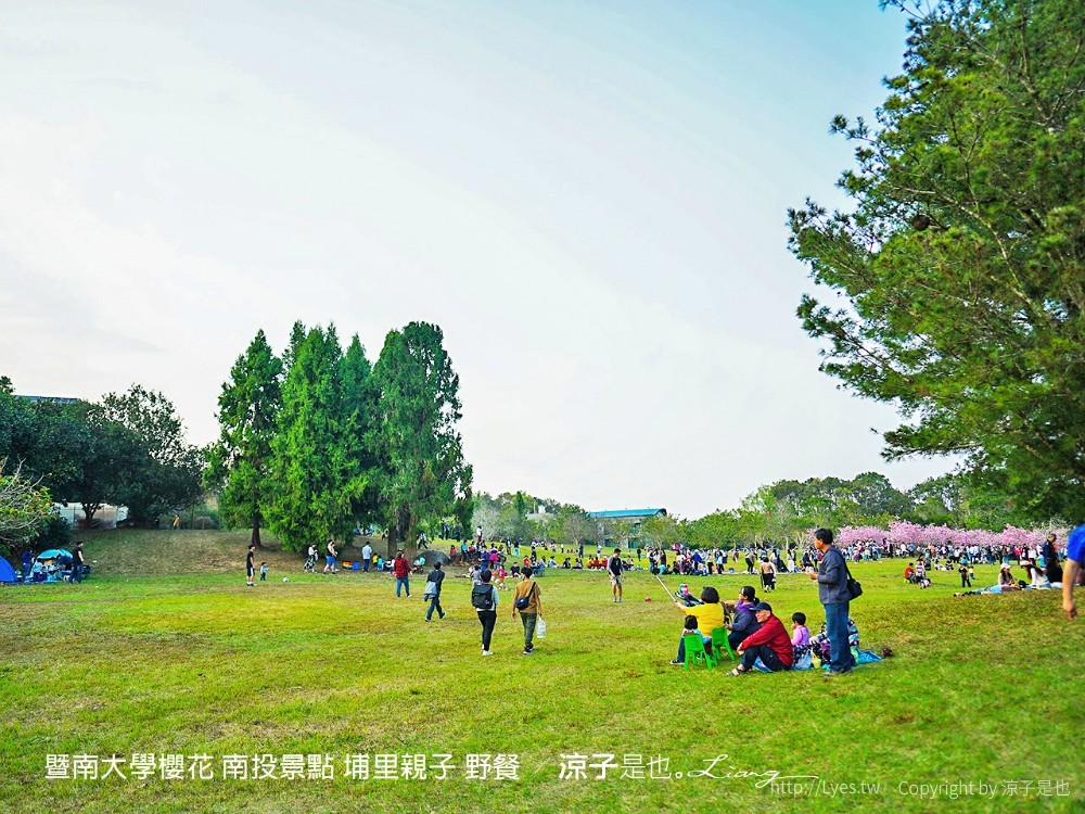 暨南大學櫻花 南投景點 埔里親子 野餐