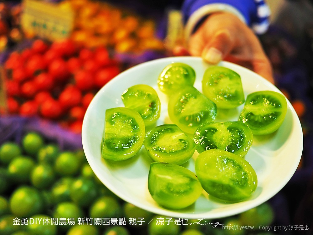 金勇DIY休閒農場 新竹關西景點 親子