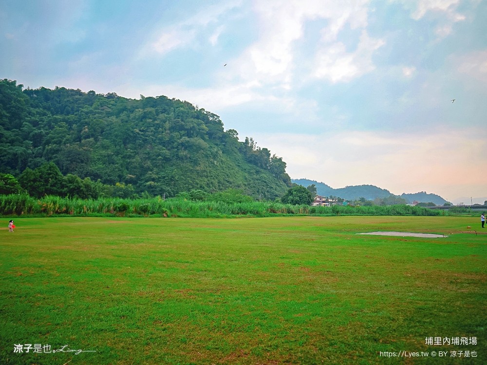 埔里景點 埔里內埔飛場 欒樹親子景點 南投藍花楹花道 賞花秘境 草地野餐 放風箏 玩球