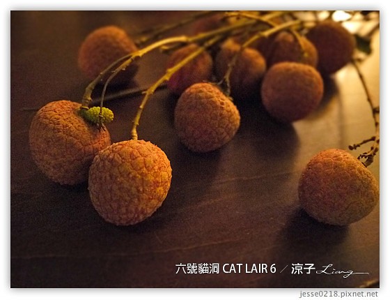 六號貓洞 CAT LAIR 6 14