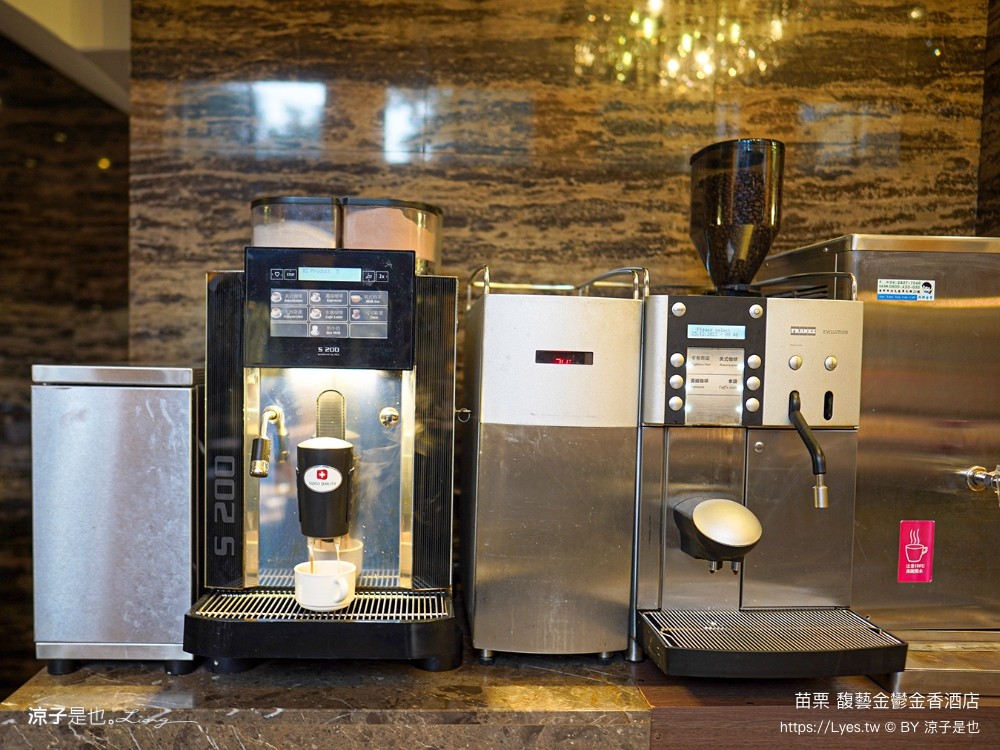 馥藝金鬱金香酒店 苗栗住宿推薦 苗栗親子飯店 早餐 兒童遊戲室 苗栗旅遊 房型介紹