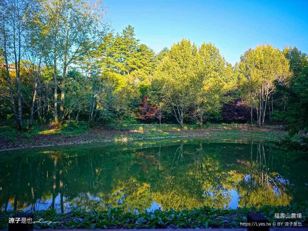 福壽山農場 民宿房型 住宿 露營 蘋果