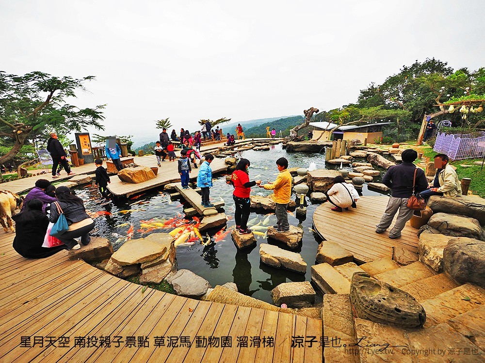星月天空 南投親子景點 草泥馬 動物園 溜滑梯