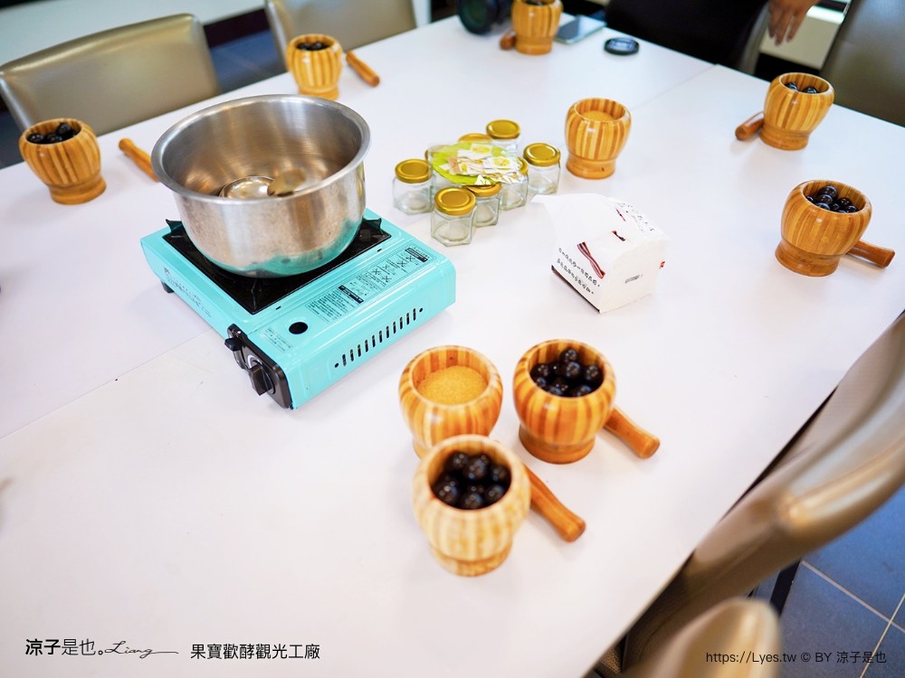 果寶歡酵觀光工廠 有機嘉寶果農場 門票 樹葡萄 南投埔里 親子景點 diy體驗 桃米休閒農業區