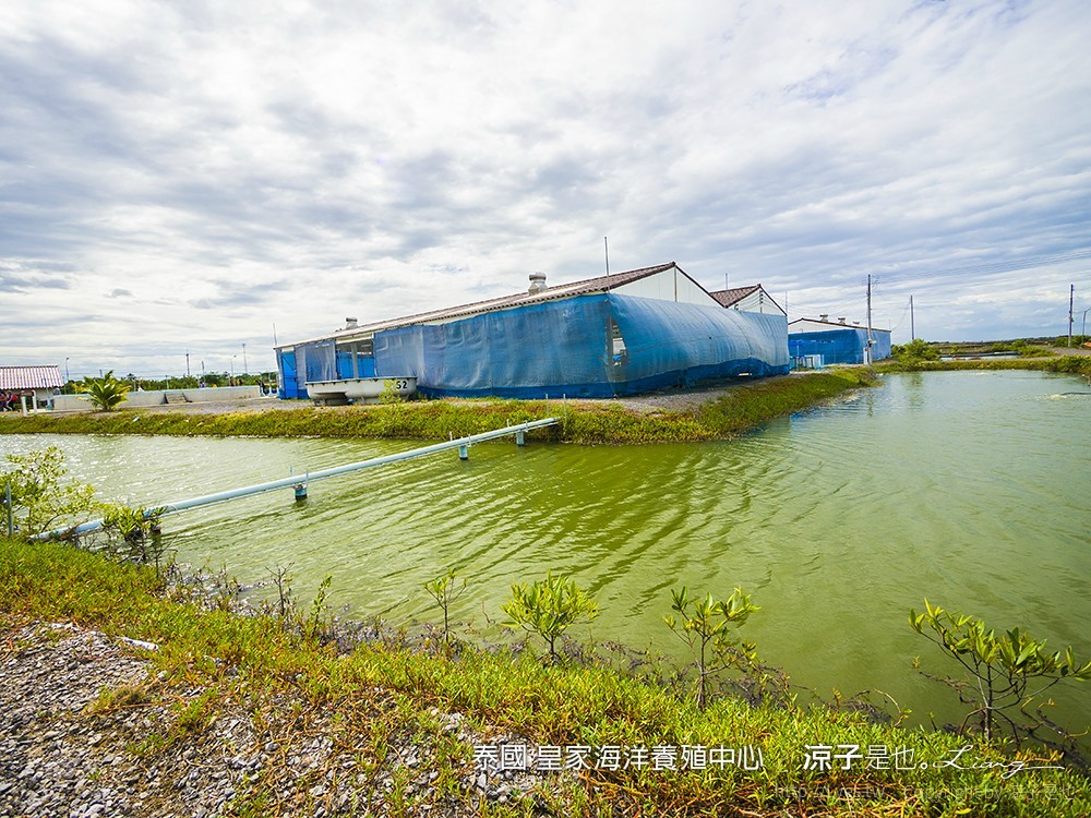 泰國 皇家海洋養殖中心