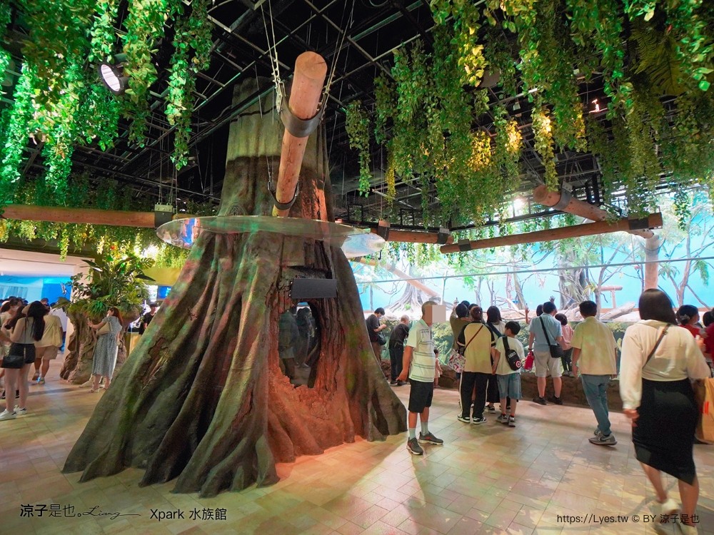 xpark水族館 門票優惠 桃園 親子景點 最新攻略 必看展區 美食餐廳 交通 停車 住宿