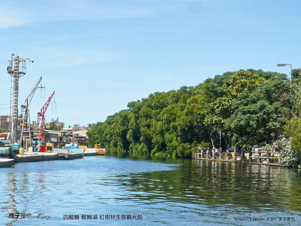 四鯤鯓鯤鯓湖紅樹林生態觀光船 台南親子景點 台南紅樹林 台南新景點 台南一日遊 生態旅遊 蚵殼diy體驗 導覽觀光船