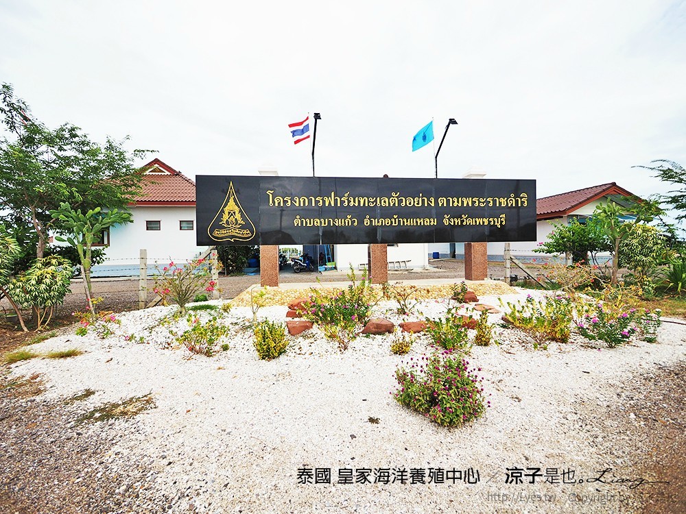 泰國 皇家海洋養殖中心