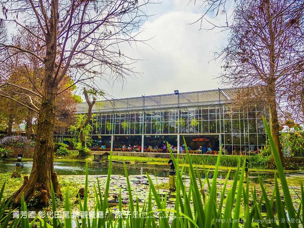 菁芳園 彰化田尾 景觀餐廳