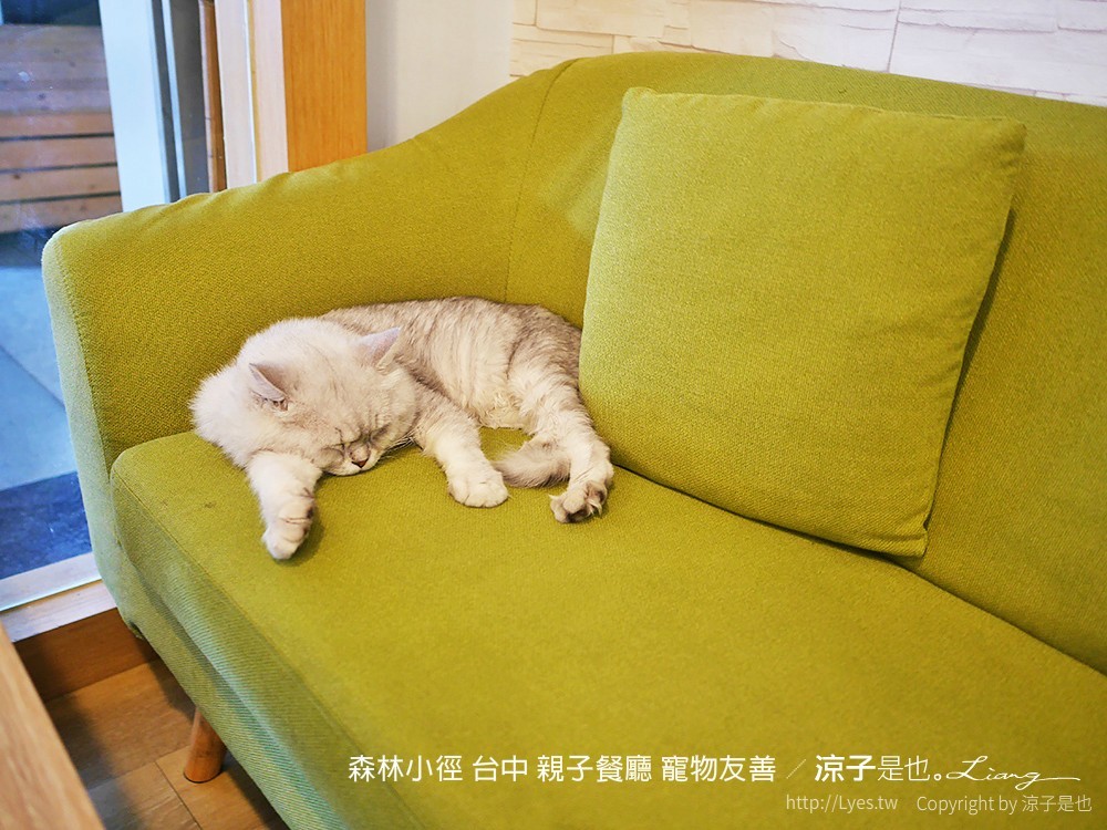 森林小徑 台中 親子餐廳 寵物友善