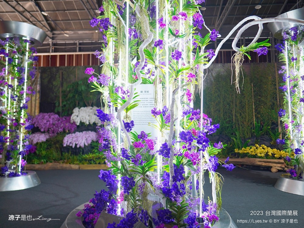 台灣國際蘭展 門票 2023時間 台南景點 魔境 恐龍 親子diy 必看亮點 台南限定蘭花