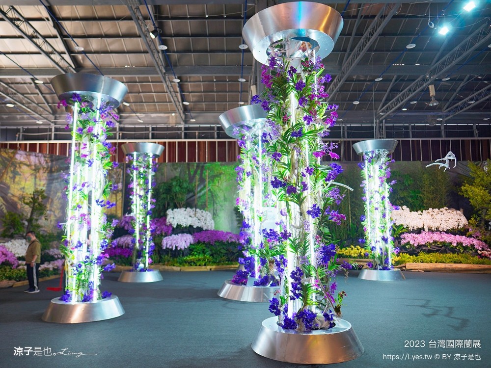 台灣國際蘭展 門票 2023時間 台南景點 魔境 恐龍 親子diy 必看亮點 台南限定蘭花