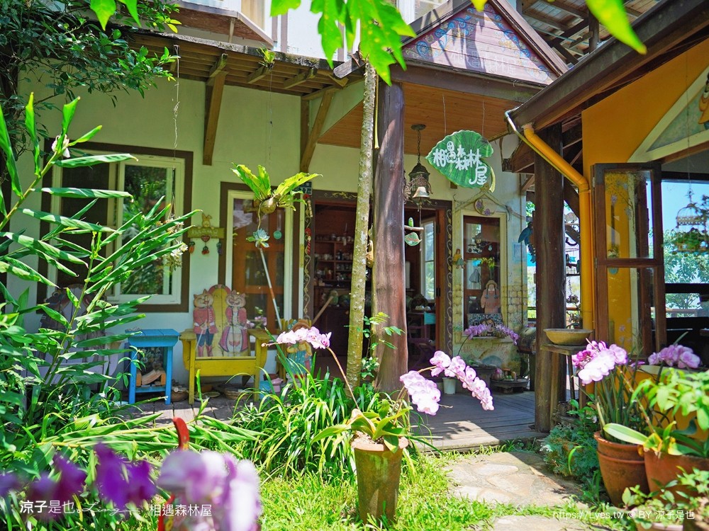 相遇森林屋 菜單 苗栗南庄景點 苗栗景觀餐廳 苗栗景點 森林系 南庄咖啡館 童話屋秘境 苗栗景點 森林系 南庄咖啡館 童話屋秘境