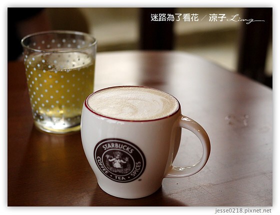 迷路為了看花 13