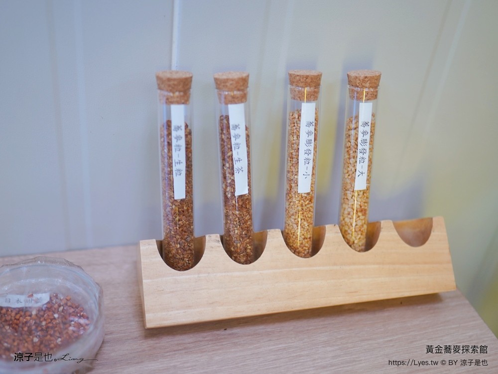 黃金蕎麥探索館 台南景點 台南伴手禮 親子景點 健康零食 蕎麥食品 台南觀光工廠 全台唯一