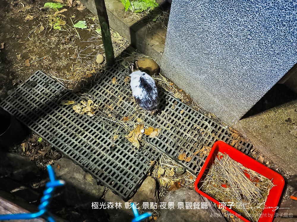 極光森林 彰化 景點 夜景 景觀餐廳