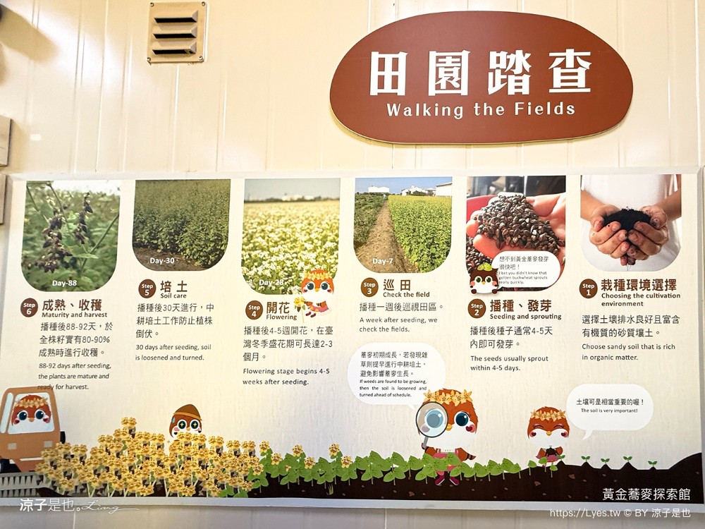 黃金蕎麥探索館 台南景點 台南伴手禮 親子景點 健康零食 蕎麥食品 台南觀光工廠 全台唯一