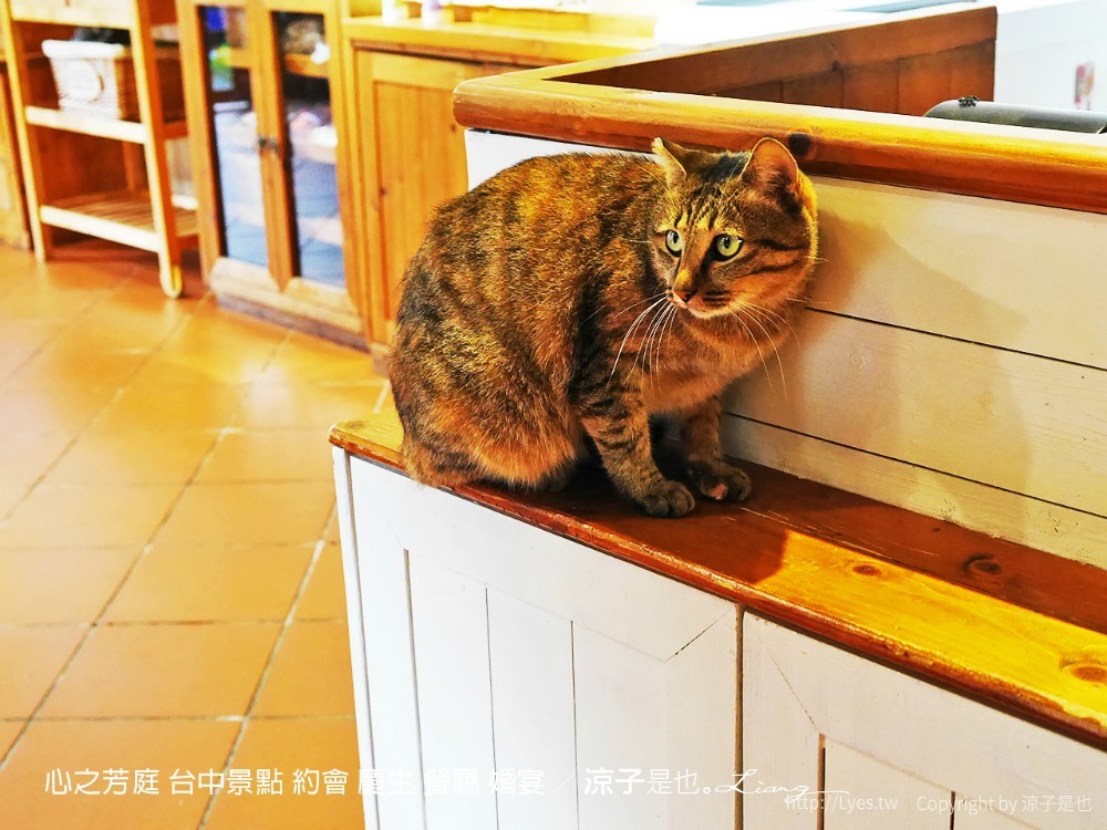 心之芳庭 台中景點 約會 慶生 餐廳 婚宴