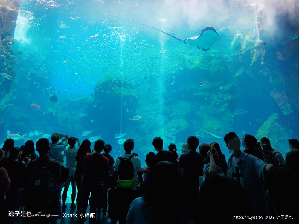 xpark水族館 門票優惠 桃園 親子景點 最新攻略 必看展區 美食餐廳 交通 停車 住宿