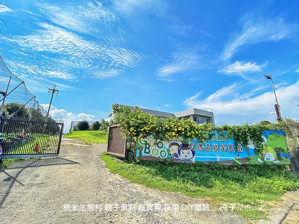 桃米生態村 南投埔里 親子景點 嘉寶果 採果 diy體驗