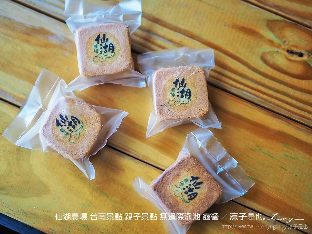 仙湖農場 台南景點 親子景點 無邊際泳池 露營