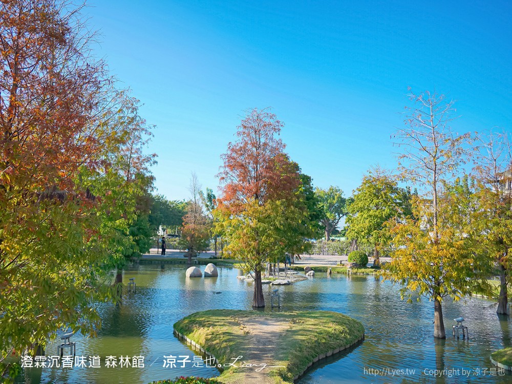 澄霖沉香味道森林館 雲林景點 愛心落羽松 湖畔步道 水之教堂 台版兼六園