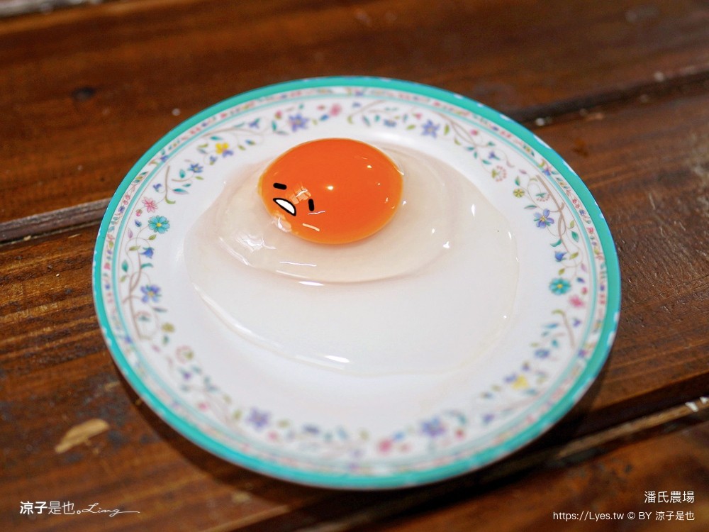 潘氏農場 屏東車城 親子景點 紅仁鴨蛋 鹹鴨蛋DFIY 屏東景點推薦 車城鹹鴨蛋老店推薦