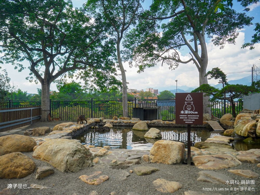 水與松萌萌園 門票 埔里 親子景點 動物園 埔里一日遊推薦 南投農場 羊駝 水豚君 南投景點