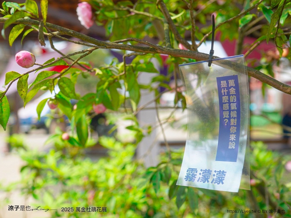 萬金杜鵑花展2025 金山中山溫泉公園 新北景點 北海岸活動 交通 展期 花藝造景 打卡必拍 懶人包