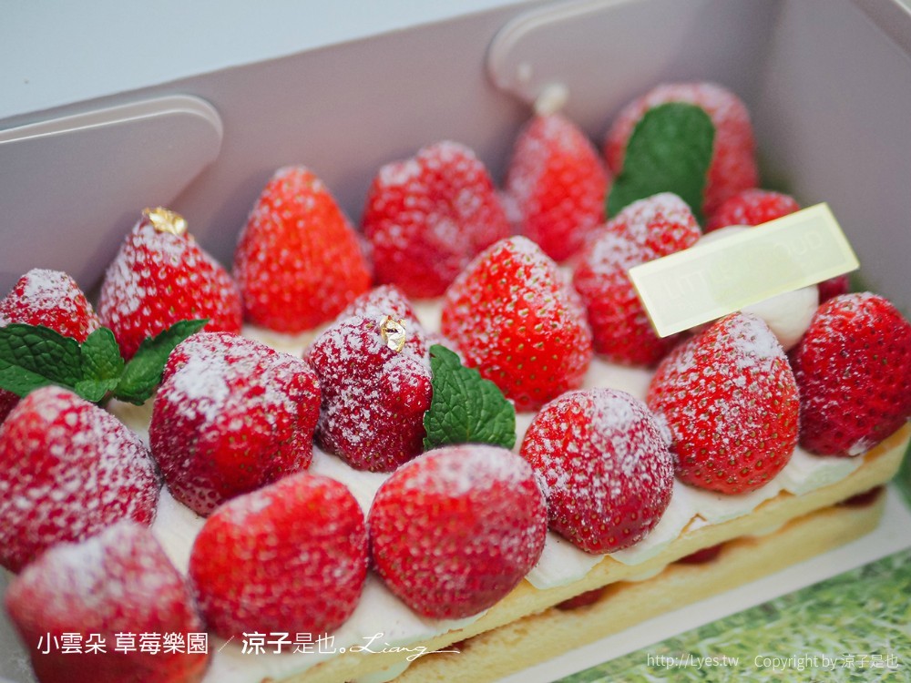 台中草莓蛋糕 小雲朵甜點工作室 預購制 草莓樂園 菜單 台中甜點下午茶