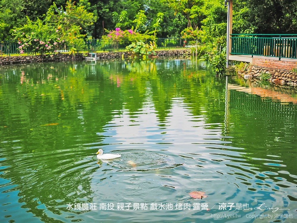 水鏡農莊 南投 親子景點 戲水池 烤肉 露營