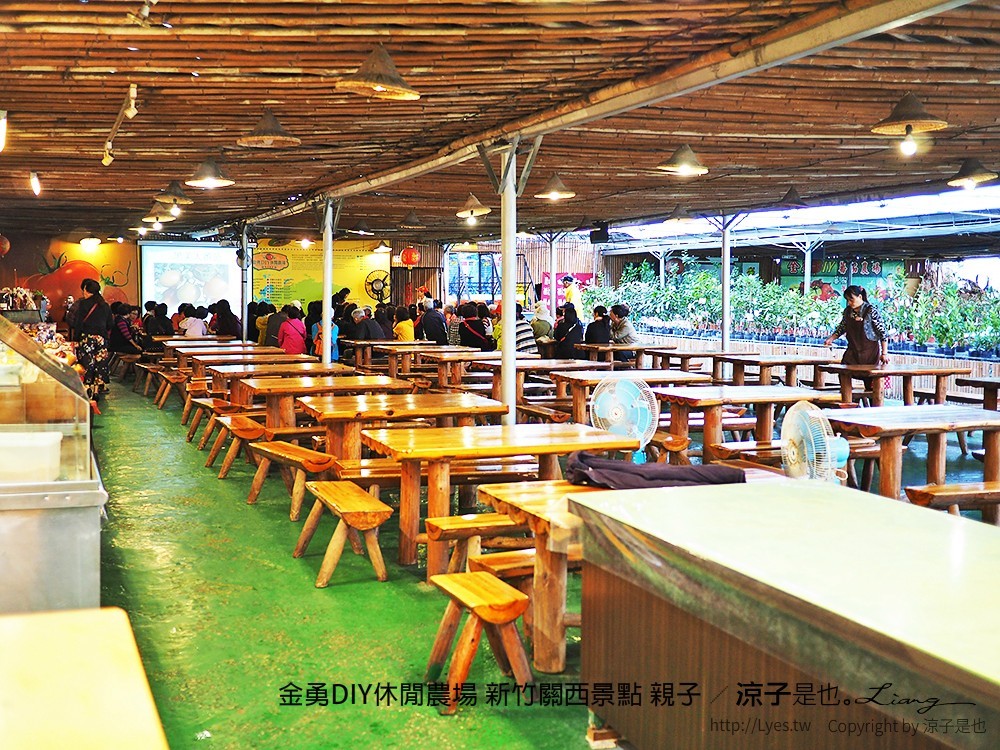 金勇DIY休閒農場 新竹關西景點 親子