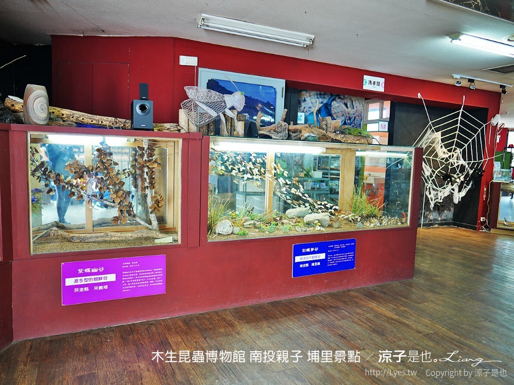 木生昆蟲博物館 南投親子 埔里景點