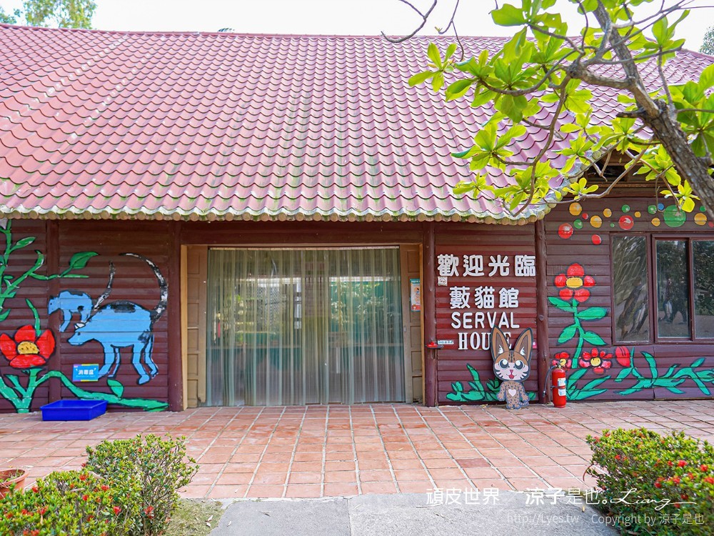 頑皮世界野生動物園攻略 門票優惠 台南親子景點 南台灣動物園 水豚君 長頸鹿 遊樂設施 戲水池