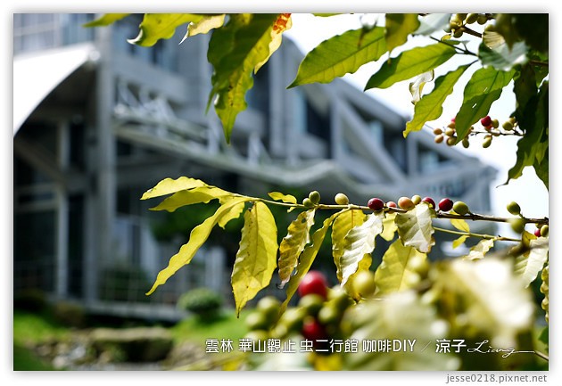 雲林古坑-華山觀止虫二行館(咖啡烘焙DIY篇)