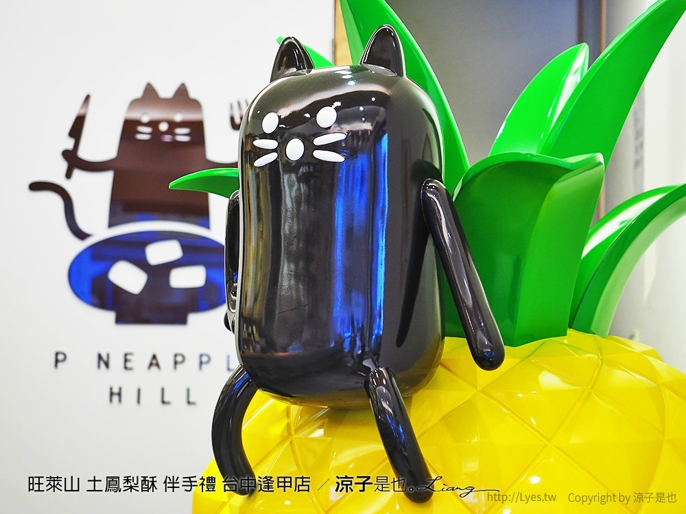 旺萊山 土鳳梨酥 伴手禮 台中逢甲店