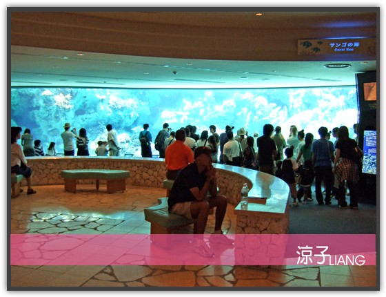 水族館03