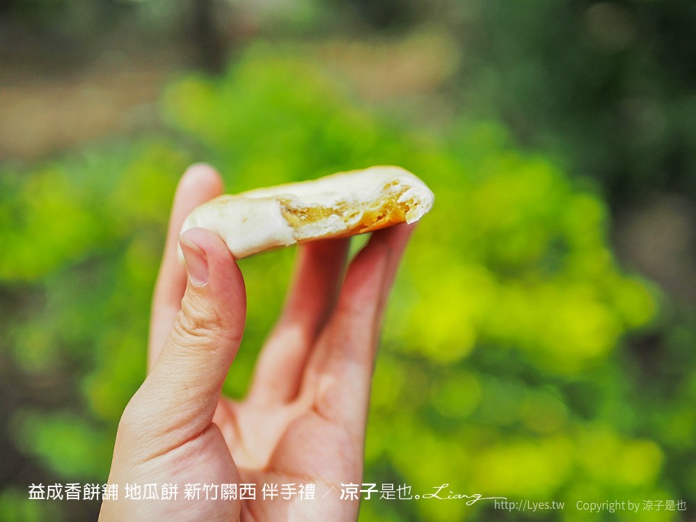 益成香餅舖 地瓜餅 新竹關西 伴手禮