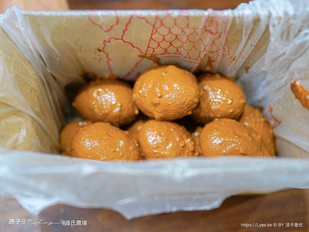 潘氏農場 屏東車城 親子景點 紅仁鴨蛋 鹹鴨蛋DFIY 屏東景點推薦 車城鹹鴨蛋老店推薦