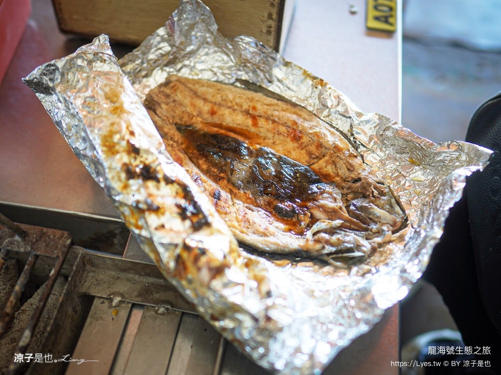 龍海號生態之旅 台南七股景點 台南景點 烤蚵吃到飽 親子景點 台南生態旅遊